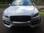Car Plant Vehicle Grille Wheel