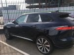 Wheel Tire Car Vehicle Hood