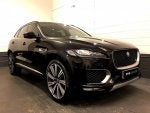 Wheel Tire Vehicle Car Hood